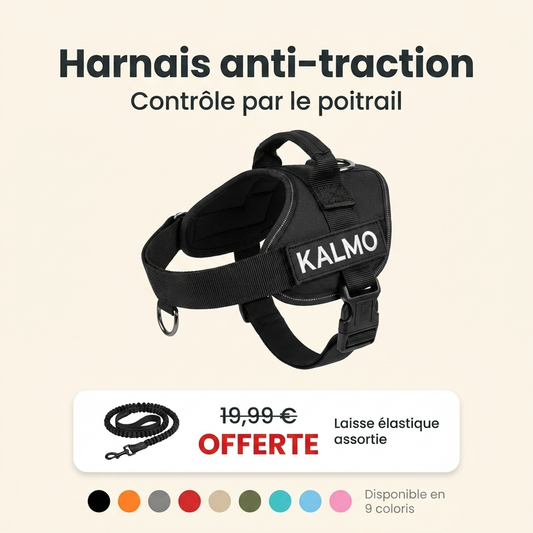 Kalmo — Harnais anti-traction pour chien