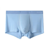 Boxer Velora Ice coloris bleu ciel